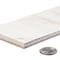 Andova Tiles Homage 2.9 in. x 11.9 in. Porcelain Subway Tile SAM-ANDHOM427 - alternate 10